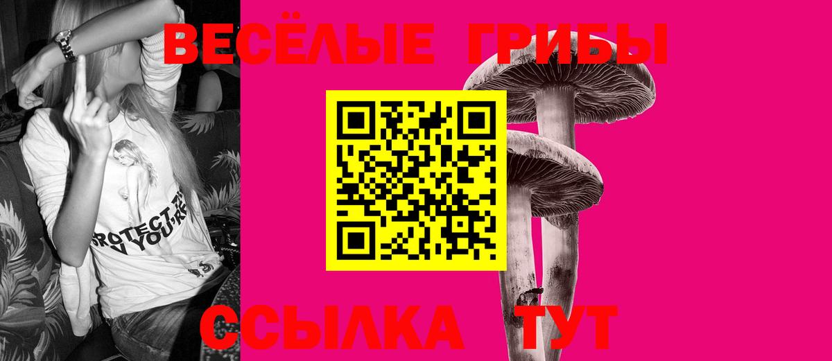 Галлюциногенные грибы Psilocybine cubensis Будённовск