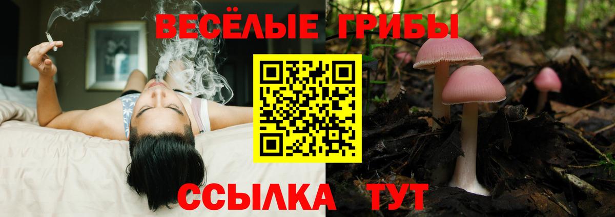 Галлюциногенные грибы прущие грибы Будённовск